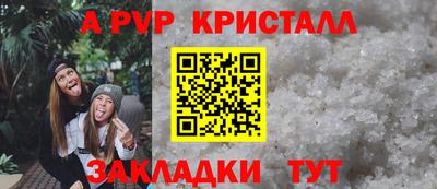 гашик Бийск