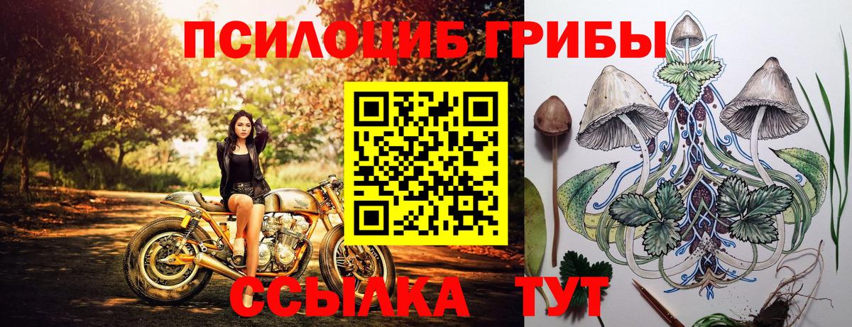 закладка  Вход с VPN  Карачаевск  Псилоцибиновые грибы мухоморы 